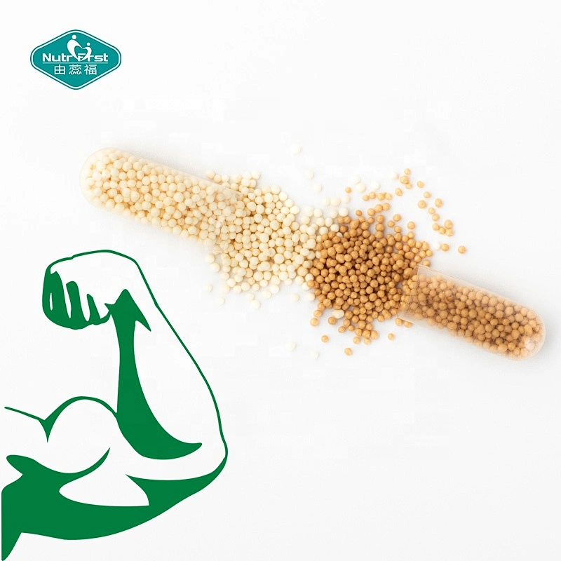 Suplementos de aminoácidos de cadena ramificada Micropellets cronometrados Cápsulas granulares de BCAA de liberación lenta con microesferas