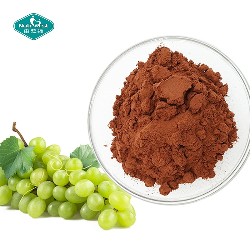 Fábrica de extractos de plantas extracto de semilla de uva polifenoles 80% polvo de proantocianidina 95% semillas de frutas de uva pe