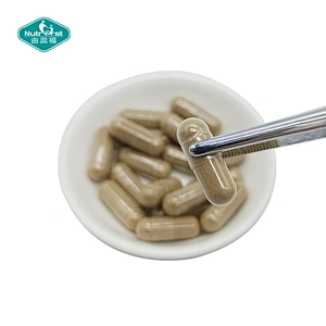 100% Extracto de hierbas Tribulus Terrestris Ginkgo Biloba Schisandra Chinensis Extracto Cápsula energética para adultos