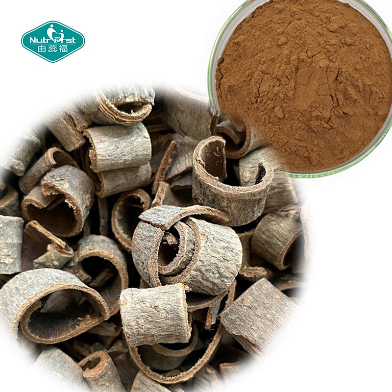 Suplementos de hierbas Nutrifirst Honokiol Magnolol Officinalis Ronchn Polvo 95% 98% Extracto de corteza de magnolia
