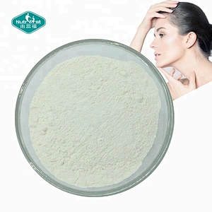 Productos de belleza Materia prima Colágeno de pescado hidrolizado Suplementos Péptido Colágeno marino en polvo a granel