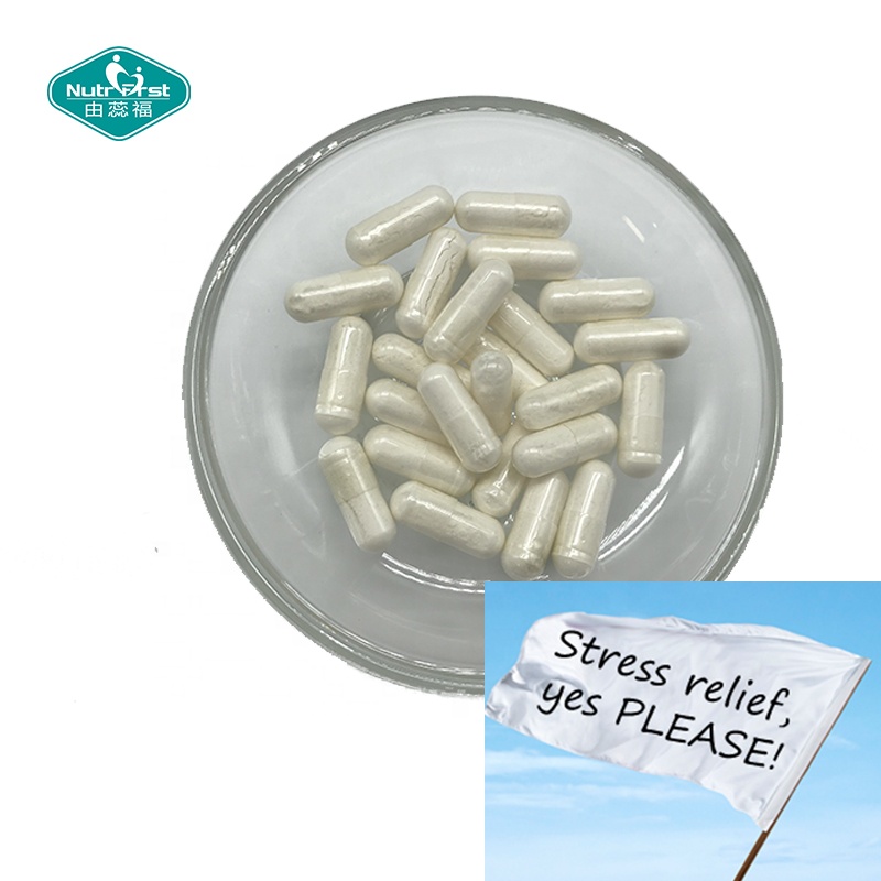 Nutrifirst Pastillas Nootrópicas Suplemento Cerebral Alfa L Teanina Las Cápsulas Nootrópicas Veganas Mejoran La Cognición