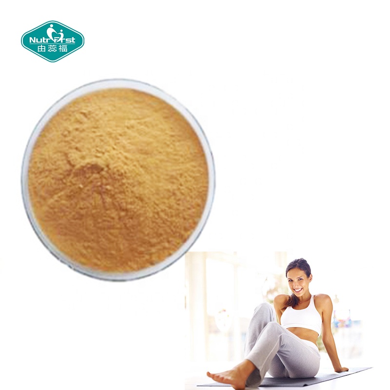 Chinese Supplier Organic Herbal Raw Material Herb Taraxaci Flavone Dandelion Root Extract Herba Lobeliae