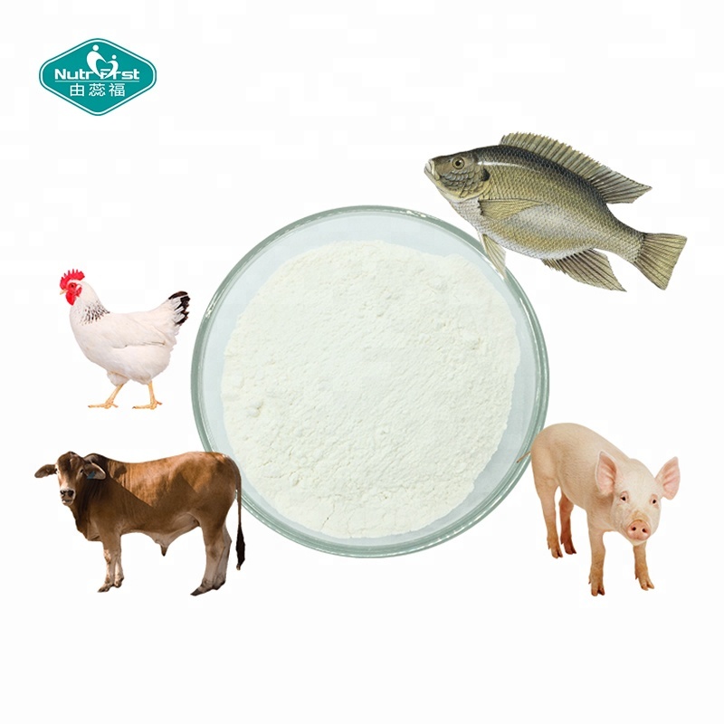 Productos de belleza Materia prima Colágeno de pescado hidrolizado Suplementos Péptido Colágeno marino en polvo a granel