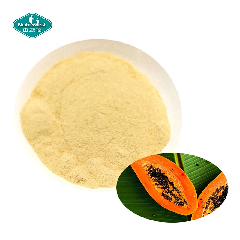 Nutrifirst Wholesale Bulk Free Sample 100% Herbal Extract Papain Latex Enzyme Powder Papaya Leaves Extract