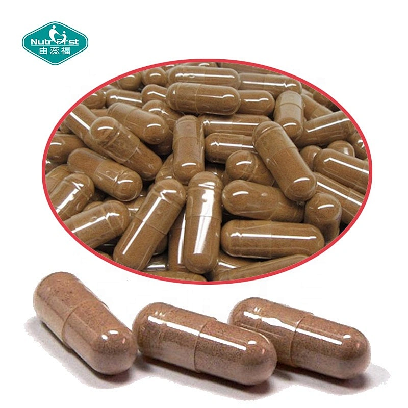 Nutrifirst Customizable Organic Gymnema Sylvestre Extract Capsules Pancreatic Function Support Herbal Supplements