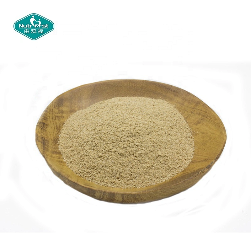 Nutrifirst Professional Factory Organic Bulk Psyllium Seed Husk Powder Extract Plantago Asiatica L.Extract
