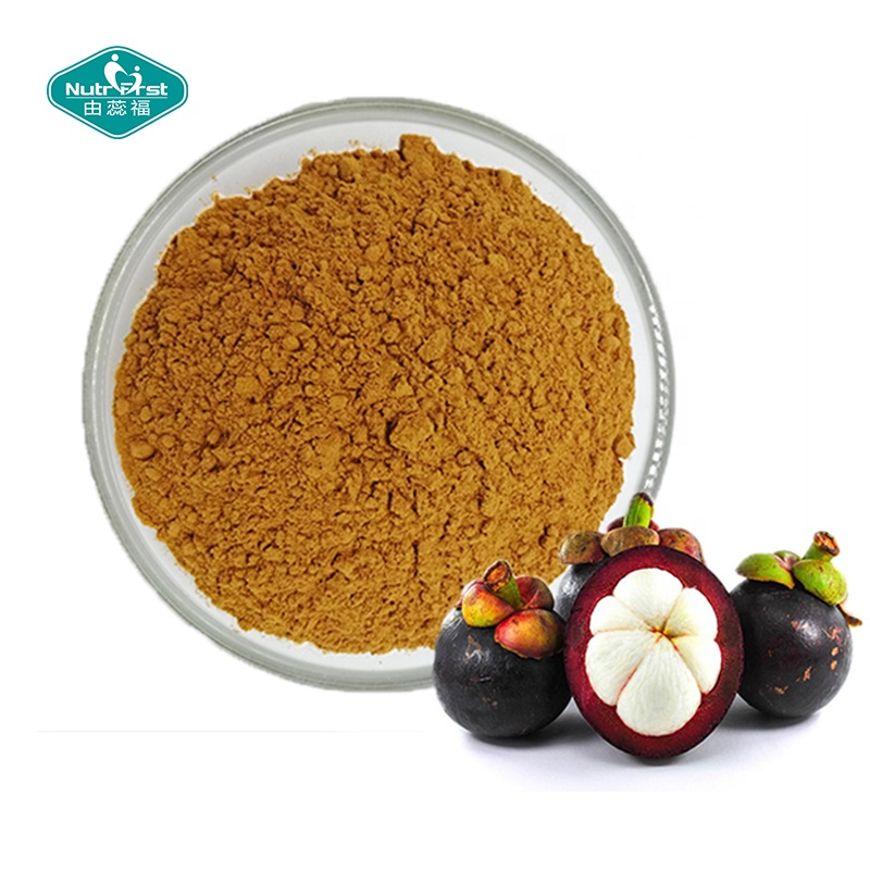 Nutrifirst Organic Purple Mangostee Fruit Extract Freeze Dried Garcinia Mangostana Fruit Juice Powder in Bulk