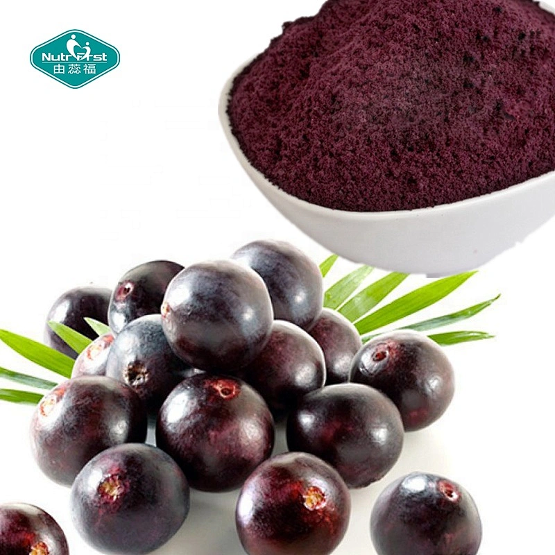 Water Soluble Fruit Powder Juice Concentrate Brazil Freeze-dried Acai Berry Powder for Juice Usage