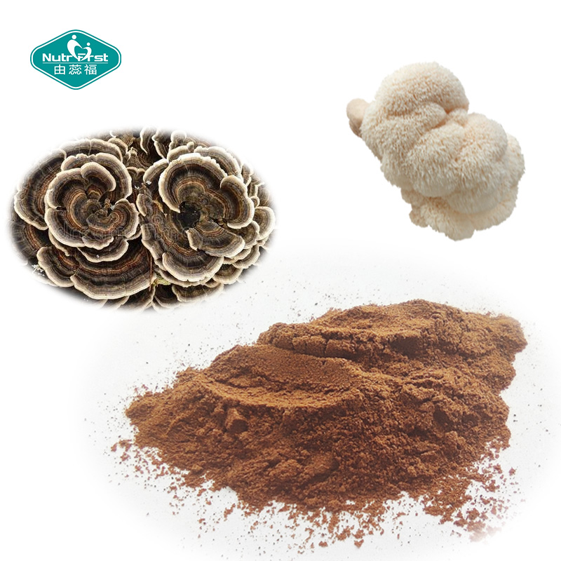 Nutrifirst Advanced Formula Chaga Cordyceps Ultra Mushroom Complex Powder OEM Mental Performance Supplement