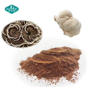 Nutrifirst Advanced Formula Chaga Cordyceps Ultra Mushroom Complex Powder OEM Mental Performance Supplement
