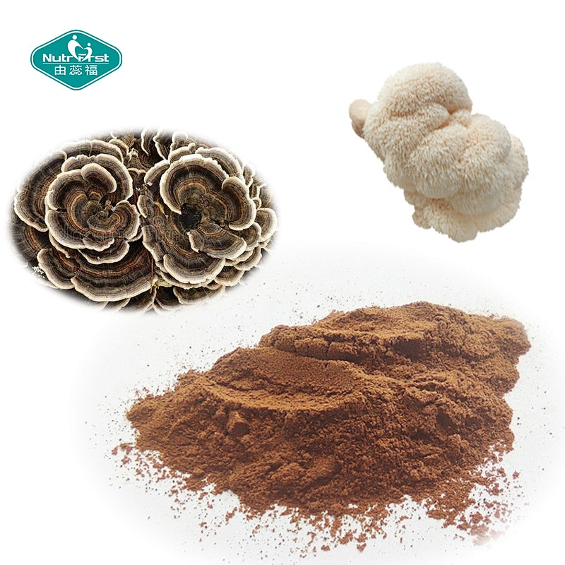 Nutrifirst Advanced Formula Chaga Cordyceps Ultra Mushroom Complex Powder OEM Mental Performance Supplement