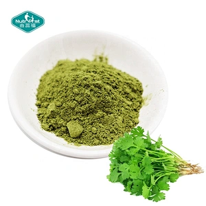 Nutrifirst Vegetable Powder Professional Manufacturer 100% Pure Freeze Dried Coriander Food Additive Powder