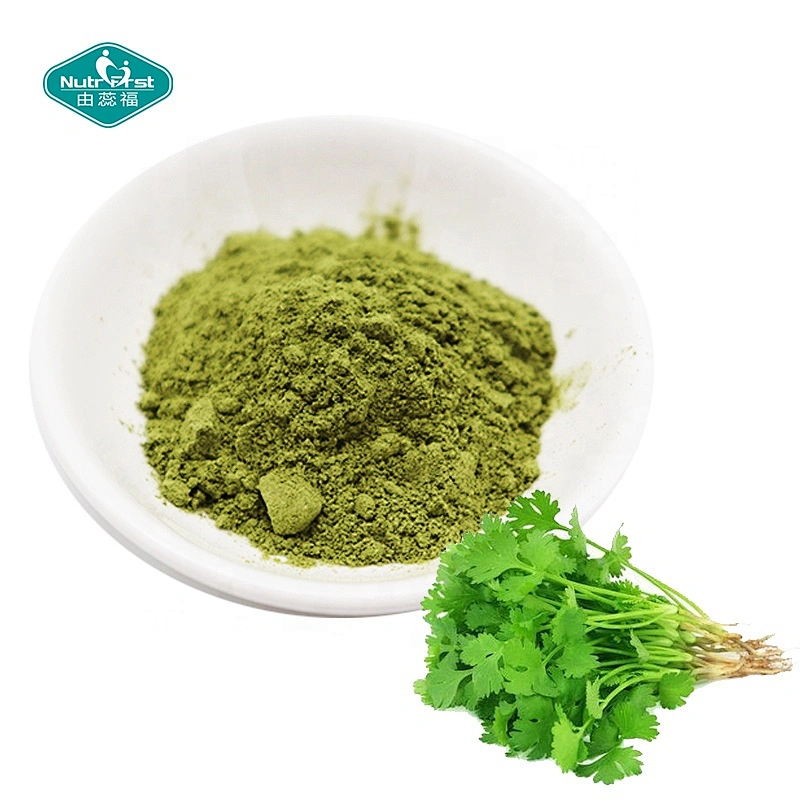 Nutrifirst Vegetable Powder Professional Manufacturer 100% Pure Freeze Dried Coriander Food Additive Powder