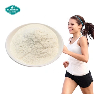 Nutrifirst Professional Factory Supply Health Glutamine Supplement 99% Glutamine Powder Cas No.56-85-9 L-Glutamine