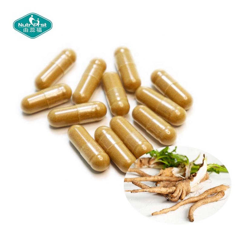 Nutrifirst OEM Probióticos Suplementos Extracto de raíz de achicoria Probiótico LGG Cápsulas para digestivo e inmunológico