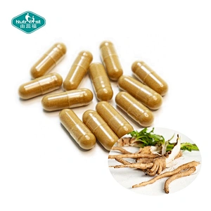 Nutrifirst OEM Probióticos Suplementos Extracto de raíz de achicoria Probiótico LGG Cápsulas para digestivo e inmunológico