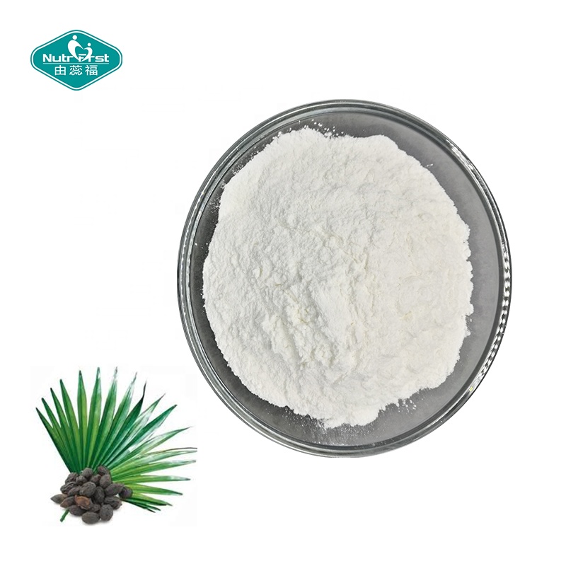 Nutrifirst Food Grade Manufacture Price Free Sample Plant Extract Saw Palmetto Extract Powder Fatty Acid in Bulk