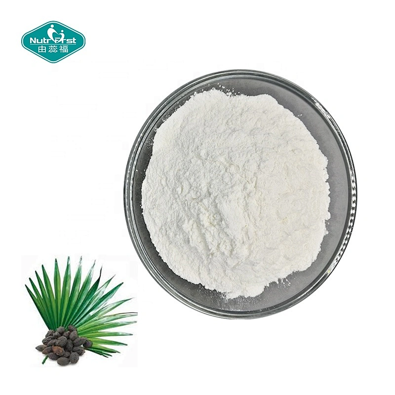 Nutrifirst Food Grade Manufacture Price Free Sample Plant Extract Saw Palmetto Extract Powder Fatty Acid in Bulk