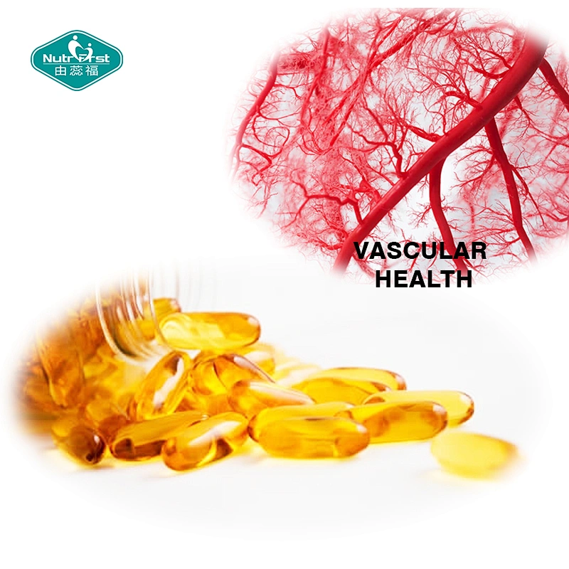 Nutrifirst Health Supplements GLA Borage Oil Softgel Capsule in Bulk With Bespoke Package