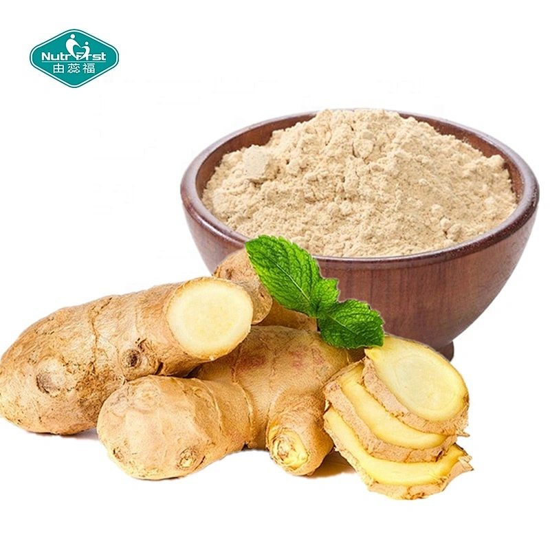 Nutrifirst Bulk Water Soluble Instant Gingerol Ginger Root Extract Powder Dry Gingerol Powder 1% Gingerols