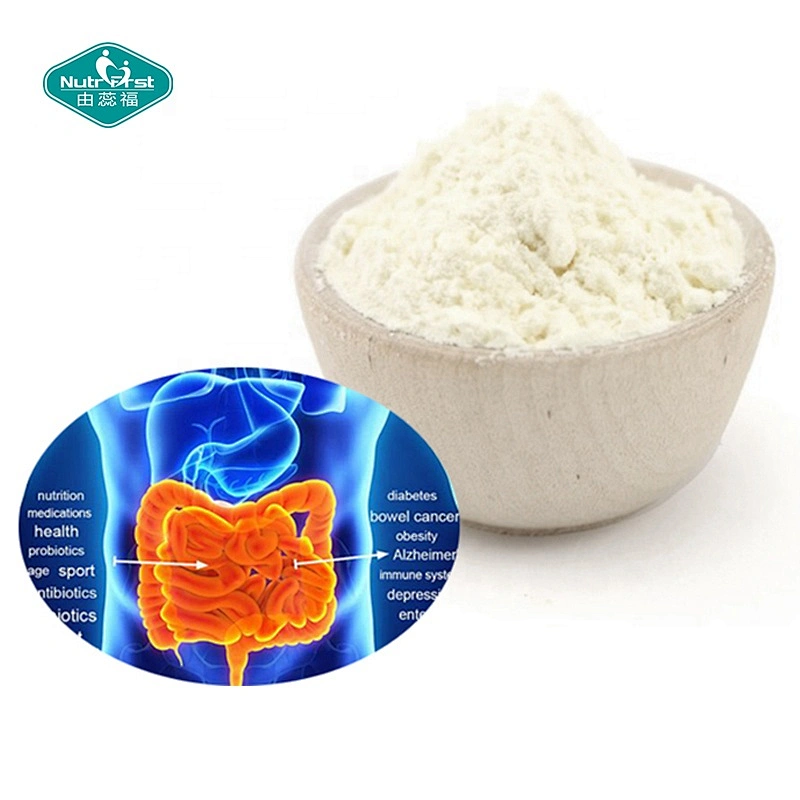 Suplementos de probióticos para la diarrea Lactobacillus Acidophilus Probióticos 60 mil millones de polvo de múltiples cepas a granel