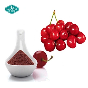 Nutrifirst Factory Custom 100% Organic Acerola Cherry Fruir Extract V Powder VC 17% 20% 25% 34%