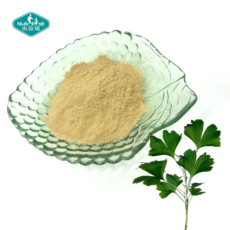 Nutrifirst Ginkgo Biloba Ginkgo Biloba Leaf Extract Powder Folium Ginkgo with 24% Flavone