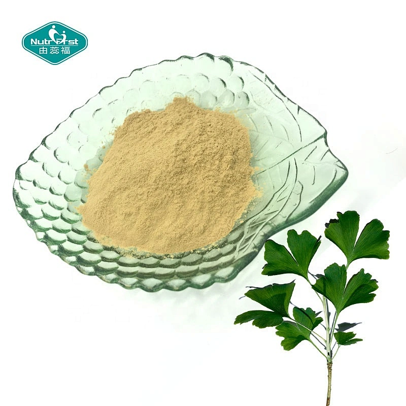 Nutrifirst Ginkgo Biloba Brass Lactone Ginkgo Biloba Extracto de hoja en polvo Folium Ginkgo con 24 % de flavona