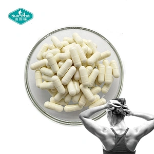 Sport Nutrition Supplements Bulk Branched Chain Amino Acids BCAA Powder 2:1:1 Capsules for Muscle Groeth