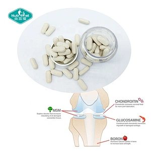 Nutrifirst Bulk MSM Glucosamine Chondroitin Pill Turmeric Extract Tablets