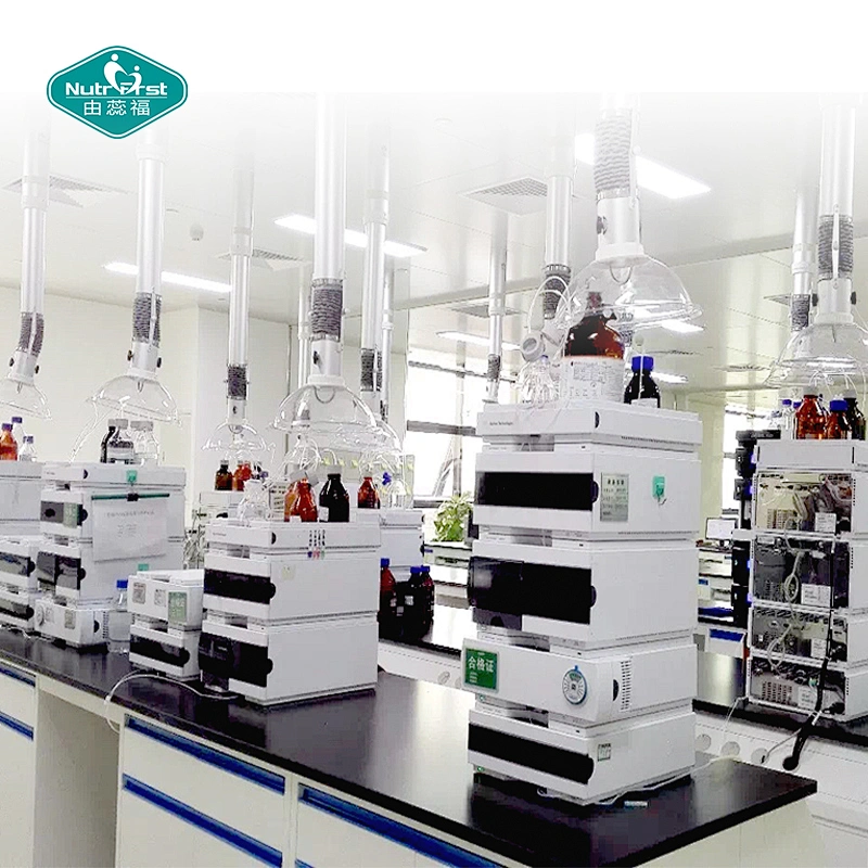 Nutrifirst Immune Support Solutions L Lysine Zinc Vitamin C Oregano Oil Blend Premezcla de nutrientes para suplemento dietético