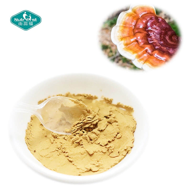 Materia prima de alta calidad, superalimento de hongos, Reishi Ganoderma Lucidum, extracto de hongo en polvo a granel