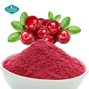 Fruit Extract Professional Manufacturer 100% Pure Frozen-Dry Cranberry Fruit Juice Instant Drink Powder