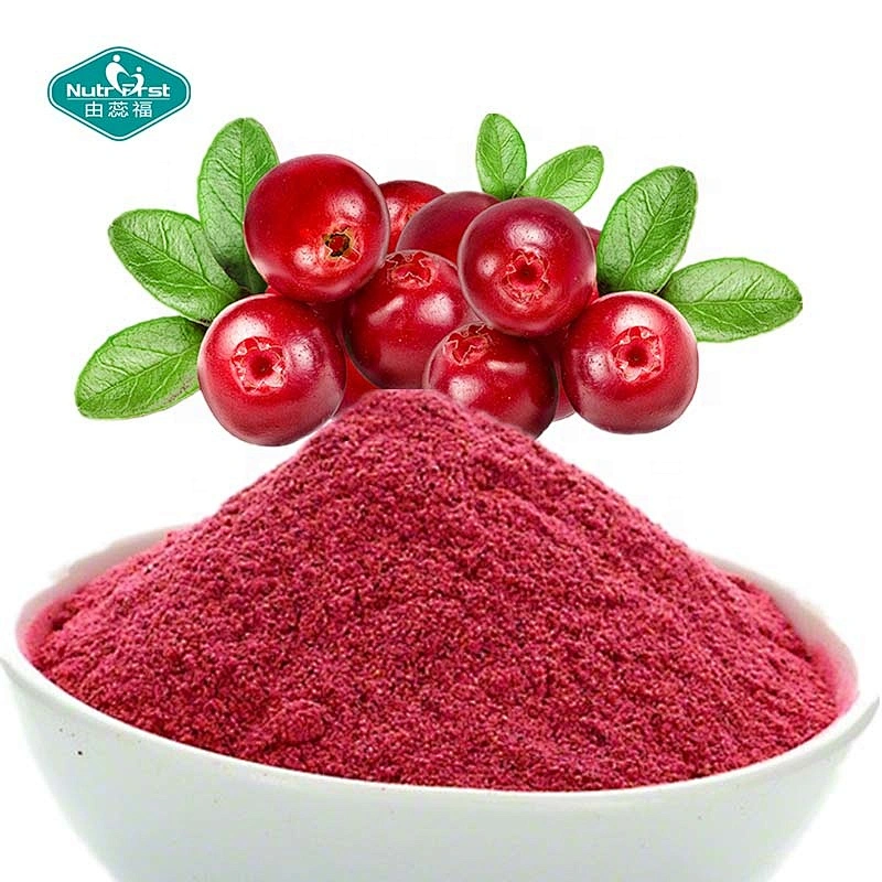 Extracto de fruta Fabricante profesional 100% Pure Frozen-Dry Jugo de fruta de arándano Bebida instantánea en polvo