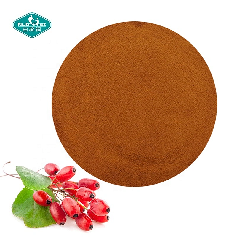 Chinese Wholesale Organic Goji Fruit Juice Powder Wolfberry Extract Goji Berry Freeze Dried Powder Water Soluble