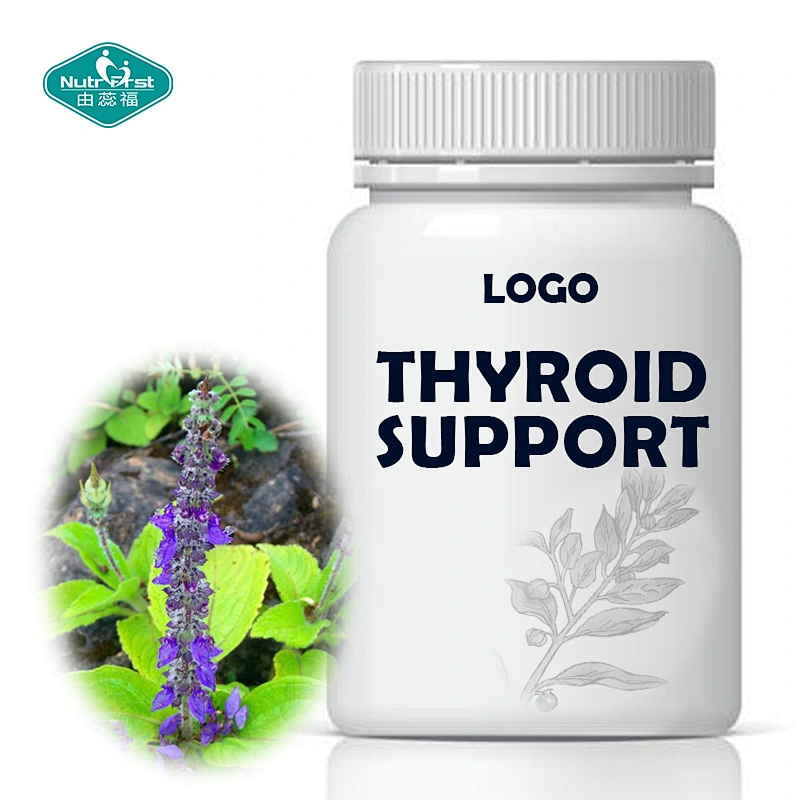 Private Label  Thyroid Health Supplement Herbs Ashwagandha & Schisandra Powder Vegan Capsules with Iodine