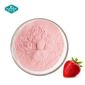 Nutrifirst Customer Customized Organic Frozen Dried Strawberry Powder for Baking & Smoothies in Bulk