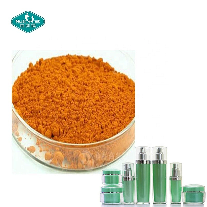 Extracto de hierbas Professional Factory Non-GMO Gluten Free Organic Marigold Calendula Officinalis Extracto en polvo
