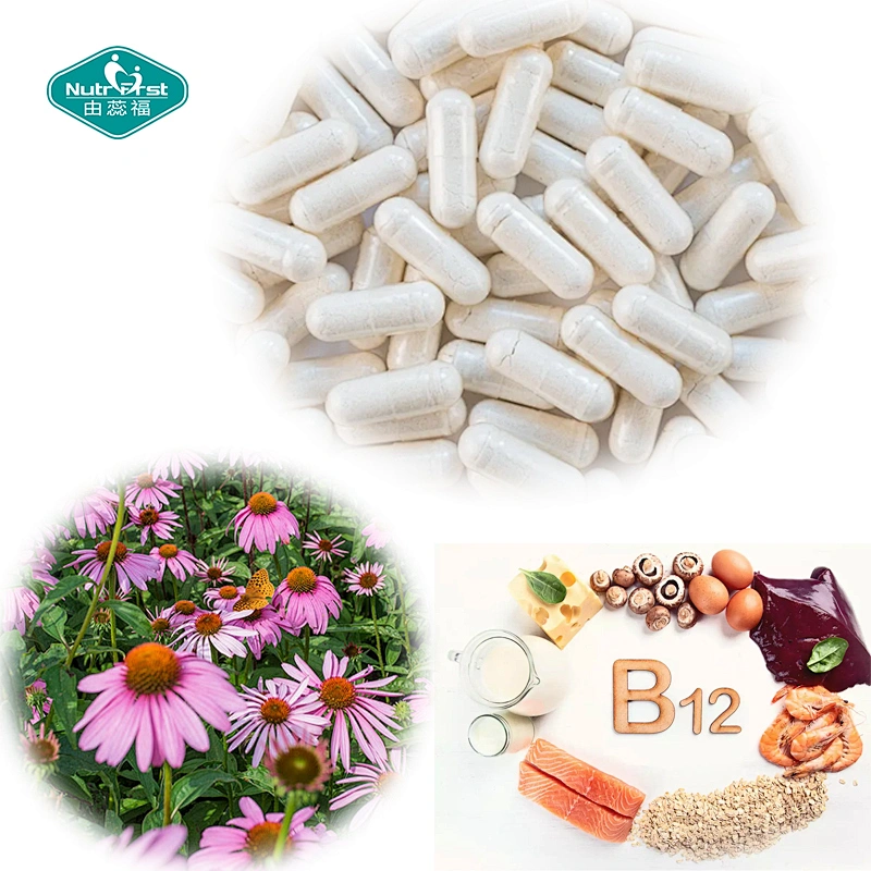 La mejor elección de minerales multivitamínicos personalizados, lisina, equinácea, cápsulas veganas para la salud de los labios y la boca