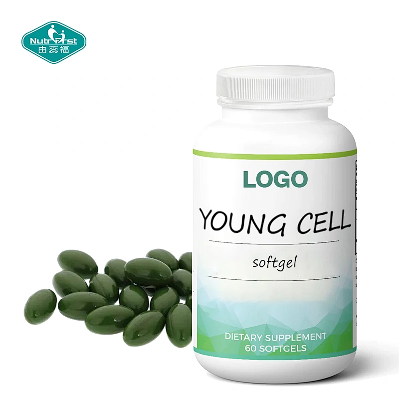Suplemento dietético de gran venta, salud celular, extracto de té verde, miricetina, cápsula blanda a granel