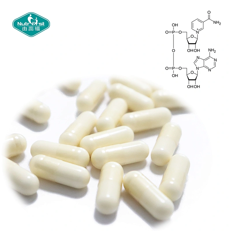 OEM Customized Formula Brain Energy Support Herbal Extract Amino Acid NAD+ Magnesium CoQ10 Capsule Pill