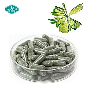 Mezcla de frutas a base de hierbas investigadas por Nutrifirst Salud cardiovascular Algas marinas Uva Arándano Cápsula vegana