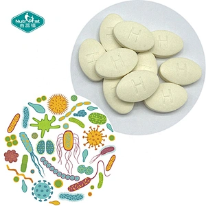 Suplementos sin azúcar masticables orales masticables de los probióticos de las tabletas del veganismo del superalimento humano del OEM para la digestión