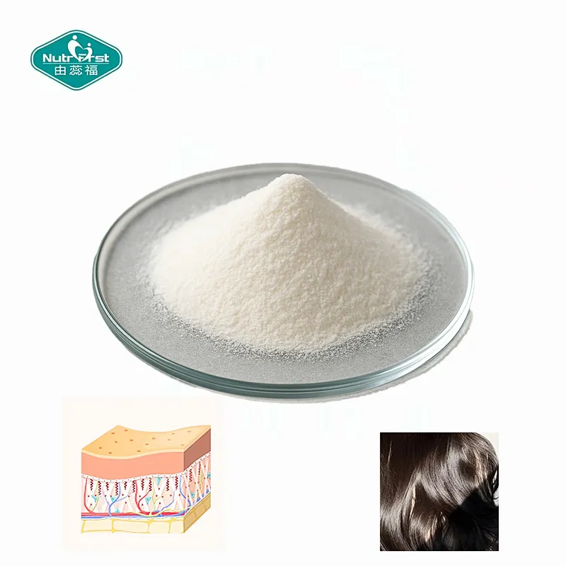 Nutrifirst Customized Marine Collagen Type I & III Powder for Youthful Glow Hair Growth & Nail Strength Healthcare Supplement