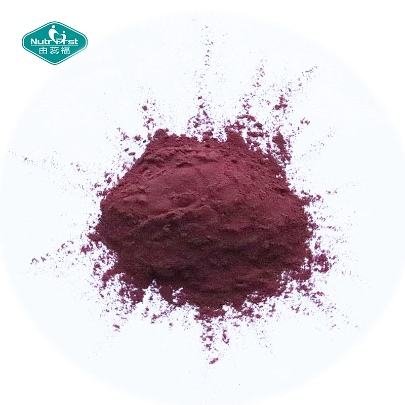 Nutrfirst Wholesale Fruit Extract 100% Pure Freeze Dried Elderberry Extract Water Soluble Fruit Juice Powder