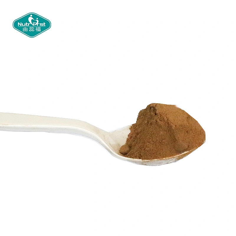 Nutrifirst Wholesale Food Grade Organic Hydroxytyrosol 20%40% Olive Fruit Freeze Dried Powder Polyphenols Extract