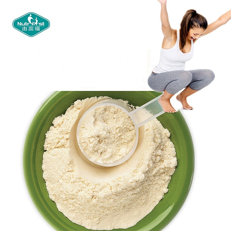 Extracto de garcinia Nutrifirst en polvo Ácido hidroxicítrico Extracto de garcinia cambogia soluble en agua HCA 60%