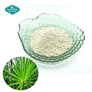 Chinese Professional Factory Supply Bulk Saw Palmetto Fruit Extract Powder Total 25%/45% Fatty Acid