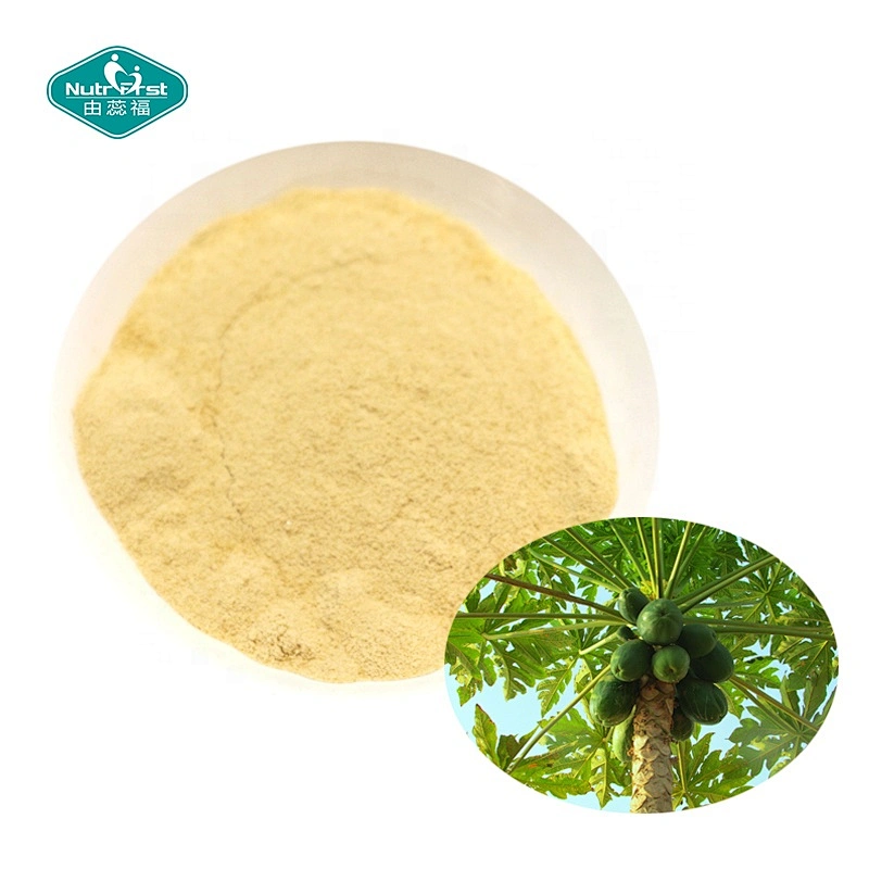 Nutrifirst Wholesale Bulk Free Sample 100% Herbal Extract Papain Latex Enzyme Powder Papaya Leaves Extract